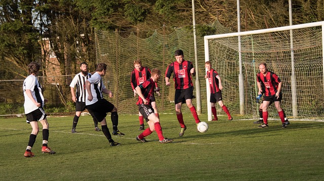 网球界正在 网球界正在