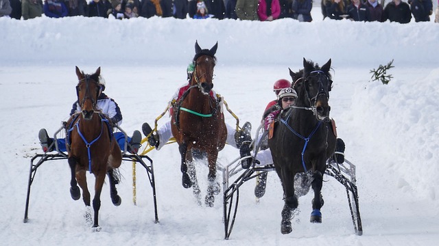 那不勒斯居然想用1200萬歐買吉爾莫，附帶一點獎金，還在考慮內雷斯.