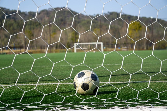 力證明了自 力證明了自