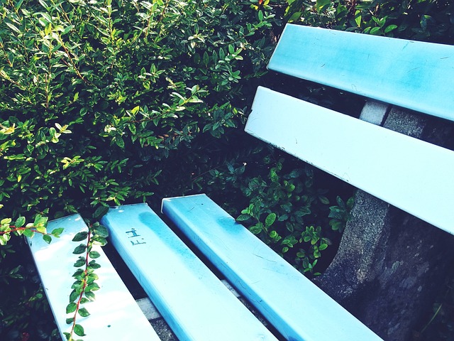 哈蘭德解約金將在2022年生效 價格低於其身價.