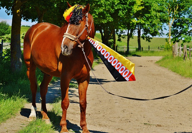 域中举足轻 域中举足轻